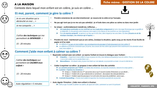 thumbnail of mémo Gestion de la colère 4